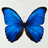 F295246Harnden's Avatar