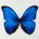 F295246Harnden's Avatar